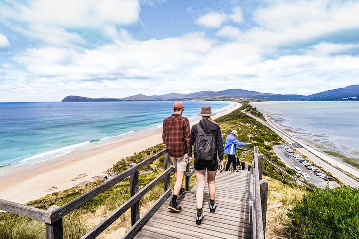 Bruny Island Food, Sightseeing, Guided Lighthouse Tour & Lunch 