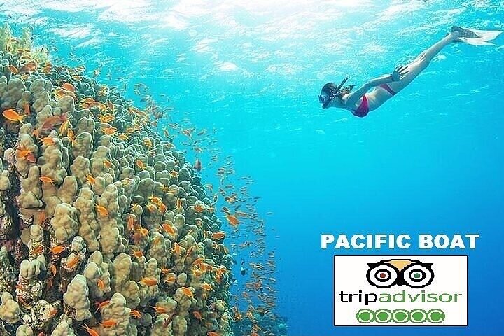 Real snorkel & island hopping trip by SPEEDBOAT with small group