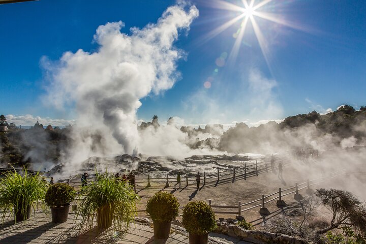 Rotorua Highlights Small Group Tour Including Te Puia from Auckland