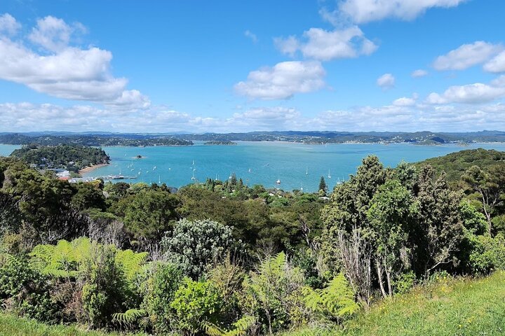 Bay of Islands Scenic Tour 