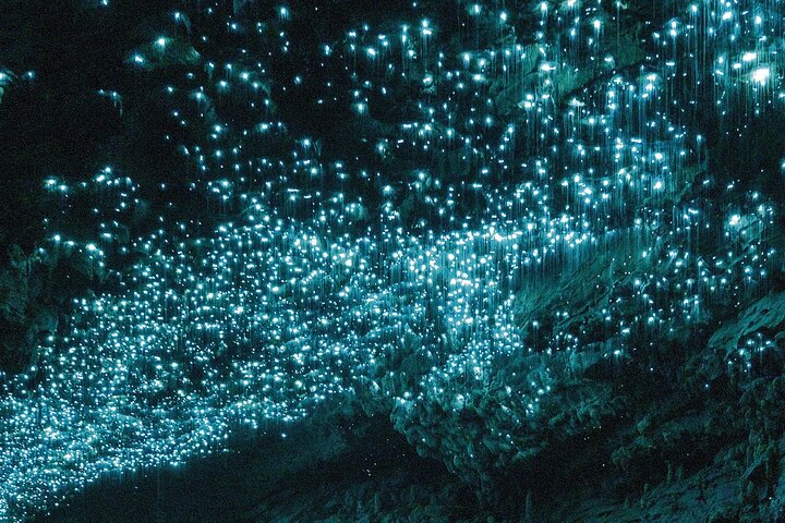 From Auckland: Waitomo Glowworm & Cave Explorer Small Group Tour 