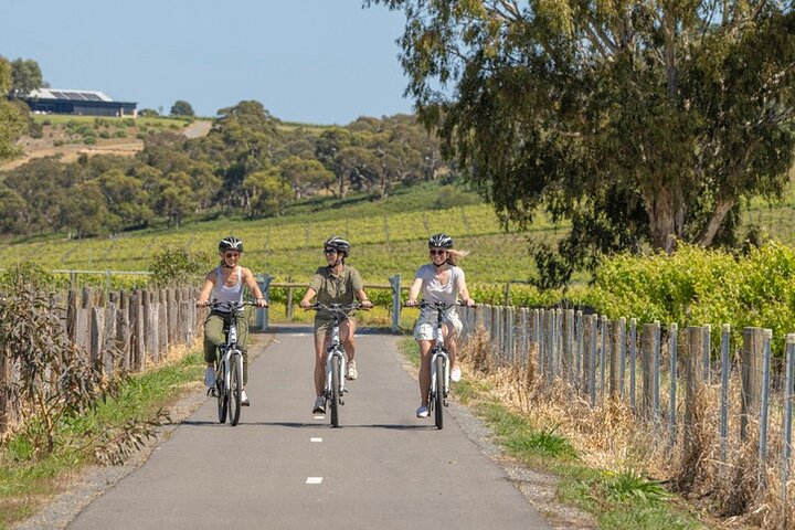 Discover McLaren Vale on eBikes - Full Day