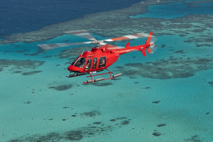 Great Barrier Reef or Rainforest Scenic Flights from Port Douglas