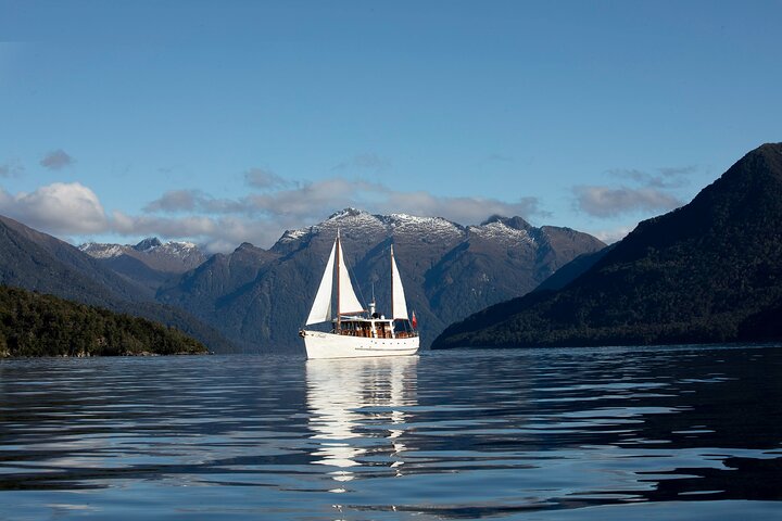 Scenic Cruise & Guided Walk on Historic Motor Yacht Lake Te Anau