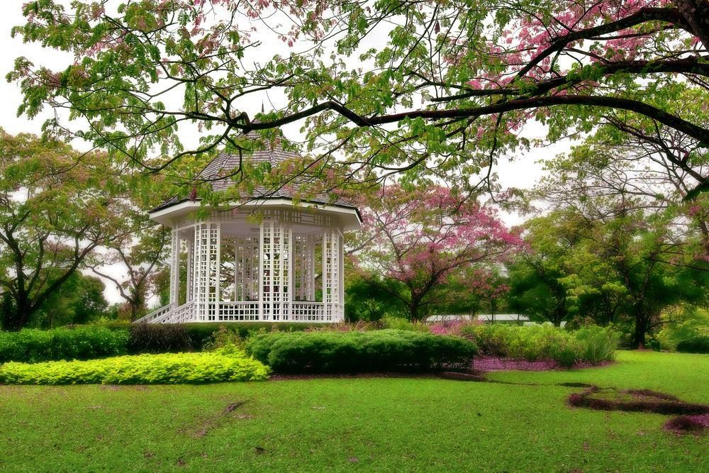 Singapore Botanical Garden & National Orchid Garden