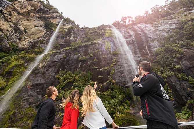 Milford Sound Nature Cruise