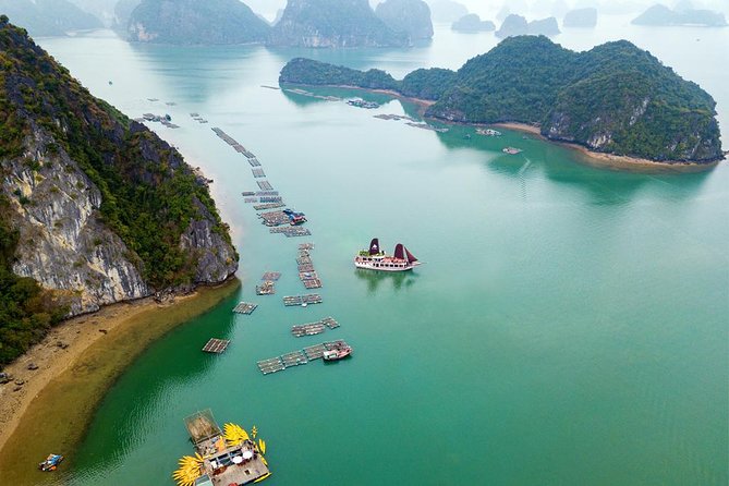 Ha Long Bay Cruise Day Tour - best selling: Kayaking, Swimming, hiking & Lunch