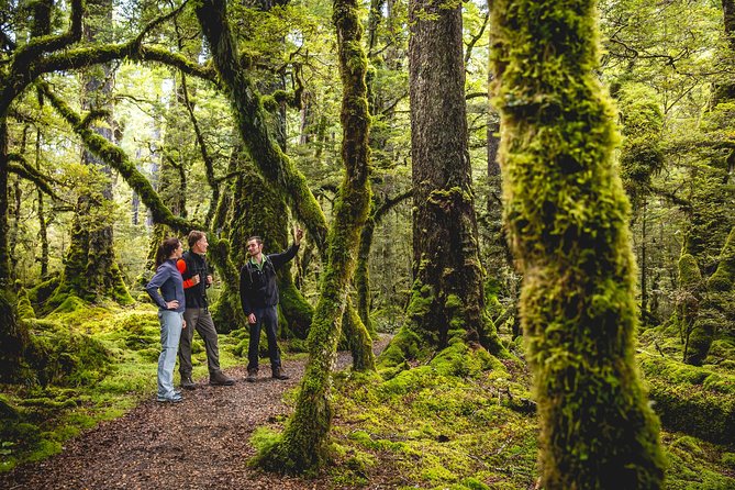 Full-Day Milford Sound Tour with Cruise and Walks from Te Anau