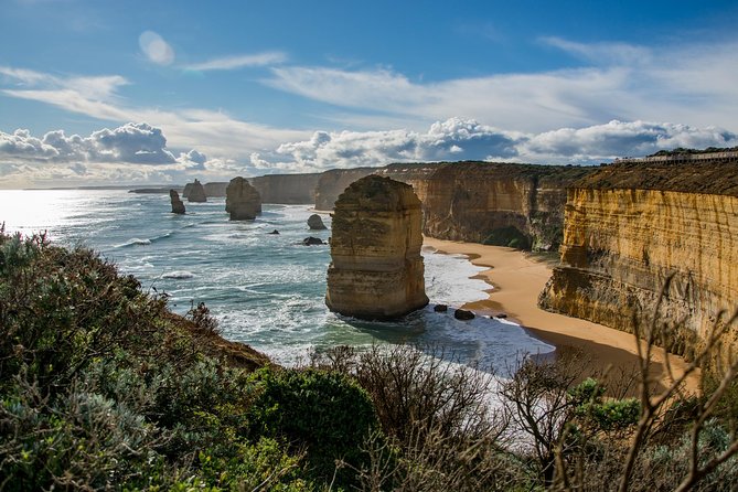 Great Ocean Road and 12 Apostles Day Trip from Melbourne