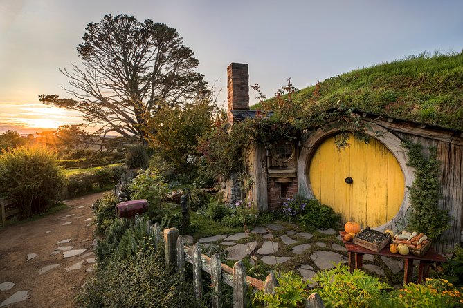 Hobbiton & Waitomo Caves Guided Tour from Auckland with Lunch