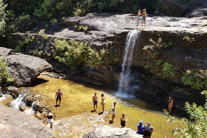 Blue Mountains Unique Small-Group Day Adventure with Picnic Lunch