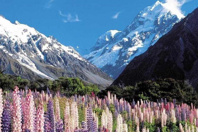 5-Day South Island Tour from Christchurch