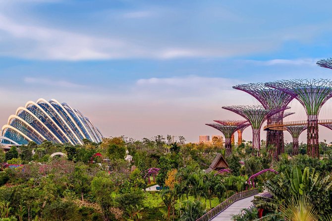 Sands SkyPark+Gardens by the Bay(CloudForest&Super Tree)Transfers