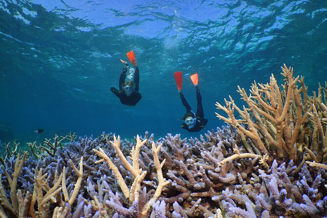 Silversonic Outer Great Barrier Reef Cruise from Port Douglas