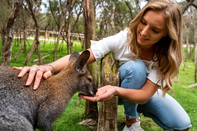 Full-Day Penguins and Wildlife Nature Experience from Melbourne