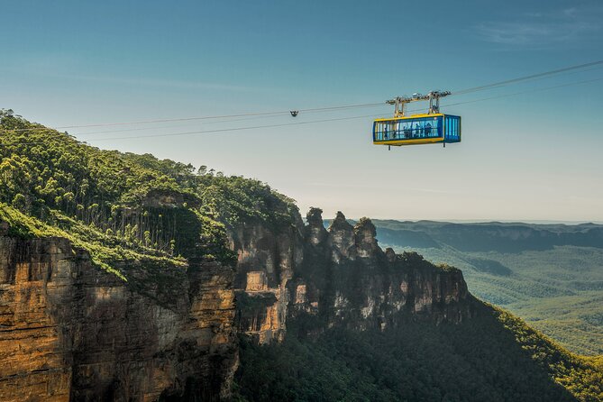 Blue Mountains ALL INCLUSIVE day tour with Free Koala Photo