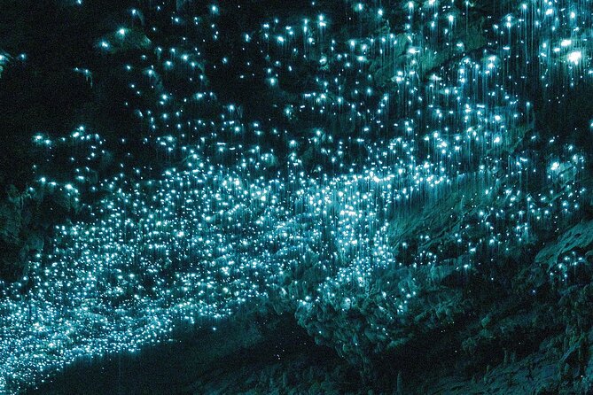 From Auckland: Waitomo Glowworm & Cave Explorer Small Group Tour